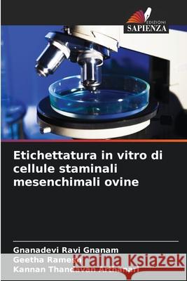 Etichettatura in vitro di cellule staminali mesenchimali ovine Ravi Gnanam, Gnanadevi, Ramesh, Geetha, Thandavan Arthanari, Kannan 9786208843199 Edizioni Sapienza - książka