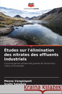Études sur l'élimination des nitrates des effluents industriels Vangalapati, Meena, Saladula, Sruthi 9786208774868 Editions Notre Savoir - książka