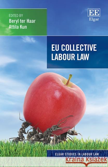 EU Collective Labour Law Beryl ter Haar, Attila Kun 9781788116381 Edward Elgar Publishing Ltd - książka