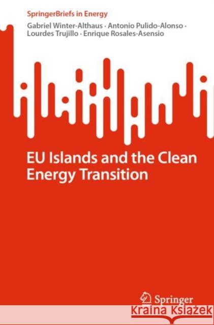 EU Islands and the Clean Energy Transition Gabriel Winter-Althaus Antonio Pulido-Alonso Lourdes Trujillo 9783031230653 Springer - książka