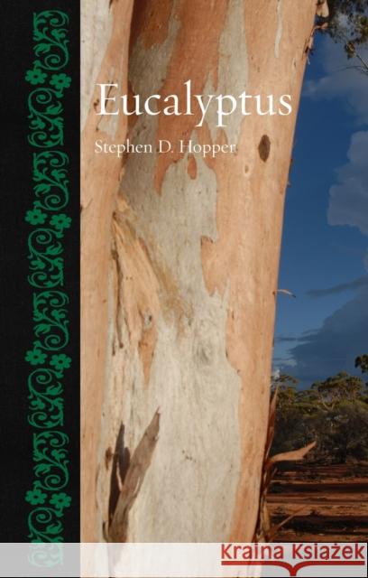 Eucalyptus Stephen D. Hopper 9781836391111 Reaktion Books - książka
