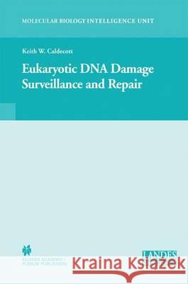 Eukaryotic DNA Damage Surveillance and Repair Keith William Caldecott 9781441934246 Not Avail - książka