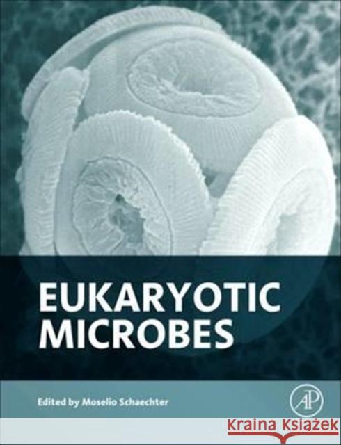 Eukaryotic Microbes Moselio Schaechter 9780128103661 Academic Press - książka