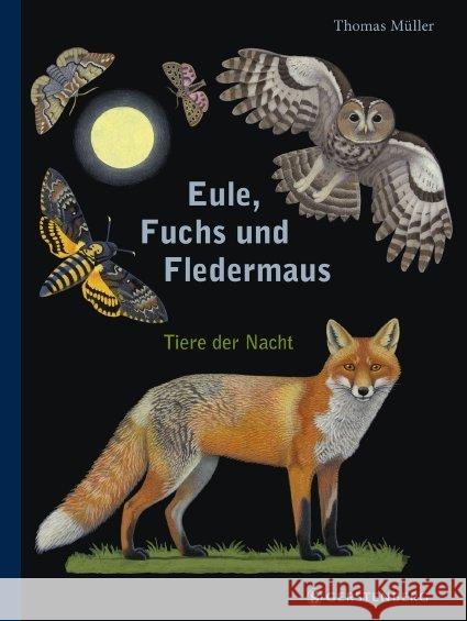 Eule, Fuchs und Fledermaus : Tiere der Nacht Müller, Thomas 9783836958387 Gerstenberg Verlag - książka