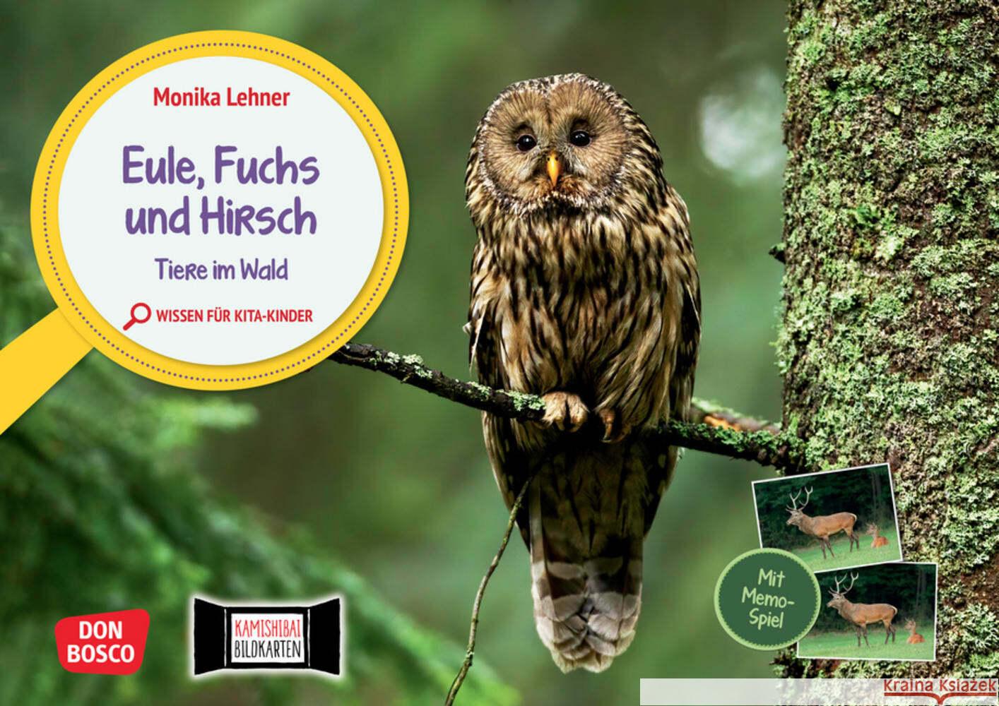 Eule, Fuchs und Hirsch. Tiere im Wald Lehner, Monika 4260694920480 Don Bosco Medien - książka