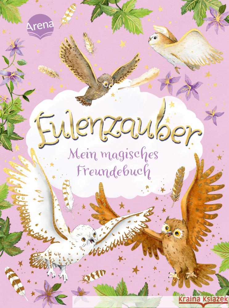 Eulenzauber. Mein magisches Freundebuch Brandt, Ina 9783401607009 Arena - książka