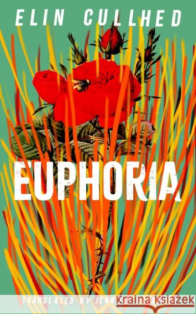 Euphoria Cullhed, Elin 9781838855963 Canongate Books - książka