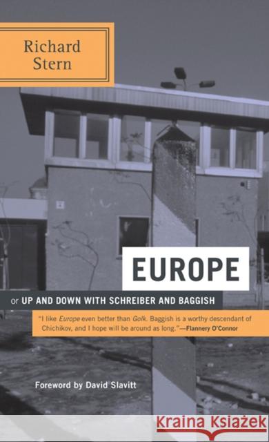 Europe: Or Up and Down with Schreiber and Baggish Stern, Richard 9780810124493 Triquarterly Books - książka