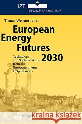 European Energy Futures 2030: Technology and Social Visions from the European Energy Delphi Survey Wehnert, Timon 9783540691648 Springer - książka