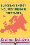 European Energy Industry Business Strategies A. Midttun Atle Midttun 9780080436319 Elsevier Science
