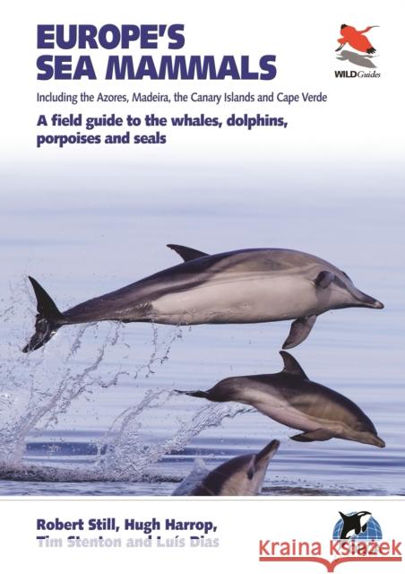 Europe's Sea Mammals Including the Azores, Madeira, the Canary Islands and Cape Verde: A field guide to the whales, dolphins, porpoises and seals Tim Stenton 9780691182162 Princeton University Press - książka