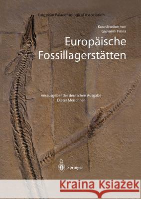 Europäische Fossillagerstätten Dieter Meischner 9783642629754 Springer - książka