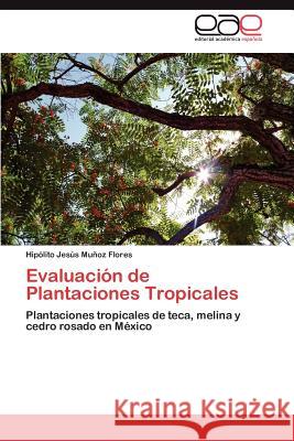 Evaluacion de Plantaciones Tropicales Hip Lito Jes?'s M 9783848463435 Editorial Acad Mica Espa Ola - książka