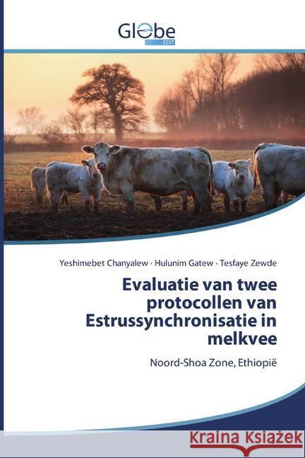 Evaluatie van twee protocollen van Estrussynchronisatie in melkvee : Noord-Shoa Zone, Ethiopië Chanyalew, Yeshimebet; Gatew, Hulunim; Zewde, Tesfaye 9786200589743 GlobeEdit - książka