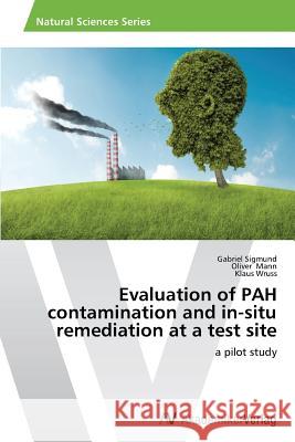 Evaluation of PAH contamination and in-situ remediation at a test site Sigmund Gabriel 9783639629798 AV Akademikerverlag - książka