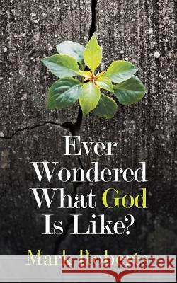 Ever Wondered What God Is Like? Mark Roberts 9781543745726 Partridge Publishing Singapore - książka