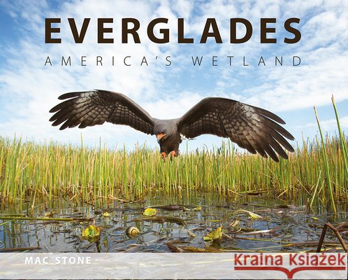 Everglades: America's Wetland Stone, Mac 9780813049854 University Press of Florida - książka