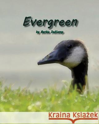 Evergreen Barbie Delcamp 9780991264278 Sweetgeorgieannsbooksandwhatnot - książka