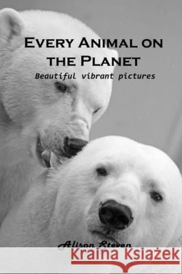 Every Animal on the Planet: Beautiful vibrant pictures Alison Steven 9781803100562 Alison Steven - książka