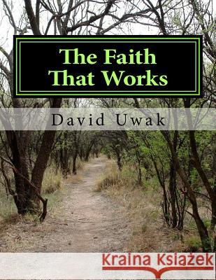 Every Believer Has The God-kind Of Faith: Mountain moving faith Uwak, David J. 9781503357631 Createspace - książka