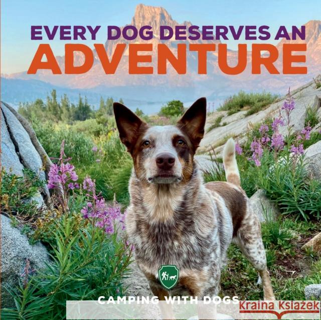 Every Dog Deserves an Adventure L. J. Tracosas 9780760381373 Motorbooks International - książka