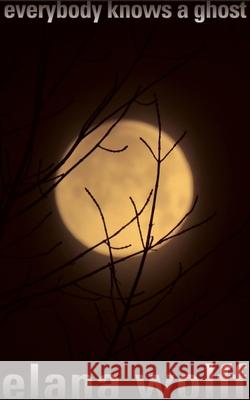 Everybody Knows a Ghost Elana Wolff 9781778490224 Guernica Editions - książka
