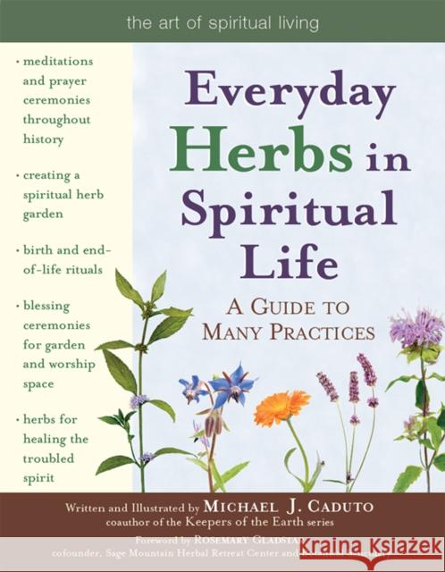 Everyday Herbs in Spiritual Life: A Guide to Many Practices Michael J. Caduto Micheal J. Caduto Michael J. Caduto 9781683360513 Skylight Paths Publishing - książka