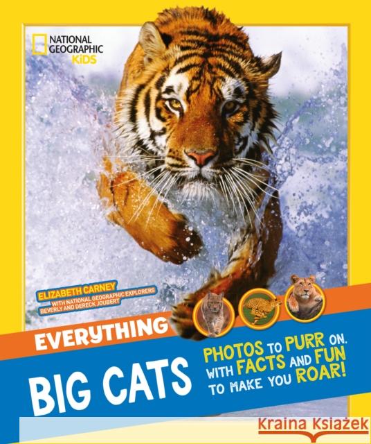 Everything: Big Cats National Geographic Kids 9780008267827 HarperCollins Publishers - książka