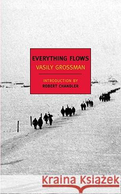 Everything Flows Vasily Grossman Robert Chandler Elizabeth Chandler 9781590173282 New York Review of Books - książka