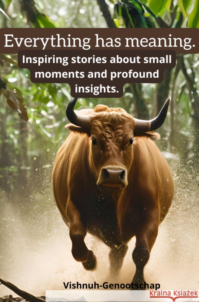 Everything has meaning. Ida-Bagus, Lancar 9789403784595 Bookmundo - książka