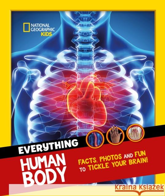 Everything: Human Body: Eye-Opening Facts and Photos to Tickle Your Brain! National Geographic Kids 9780008541583 HarperCollins Publishers - książka