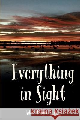 Everything in Sight Adam Wayne Farley 9798322891284 Independently Published - książka