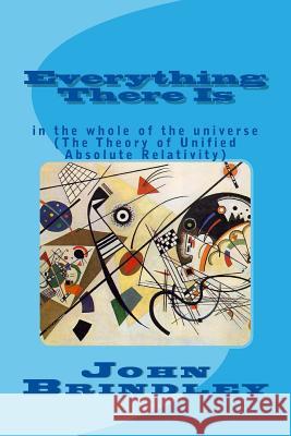 Everything There Is: in the whole of the universe Brindley, John 9780957417632 John Brindley - książka