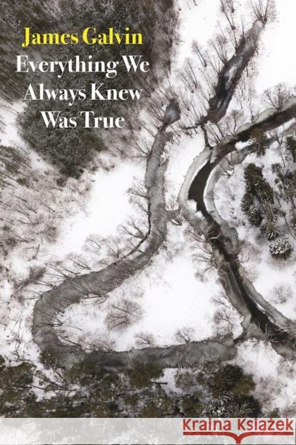 Everything We Always Knew Was True James Galvin 9781556594922 Copper Canyon Press - książka
