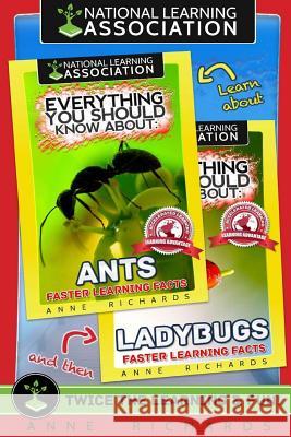 Everything You Should Know About: Ants and Ladybugs Richards, Anne 9781978035393 Createspace Independent Publishing Platform - książka