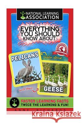 Everything You Should Know About: Pelicans and Geese Richards, Anne 9781981764518 Createspace Independent Publishing Platform - książka