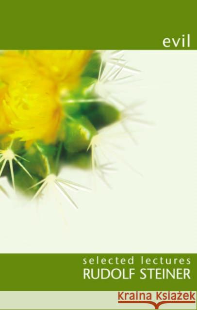 Evil Rudolf Steiner 9781855840461 Rudolf Steiner Press - książka
