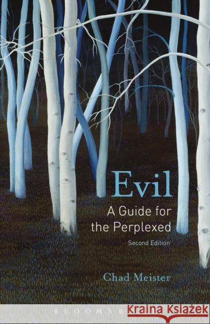 Evil: A Guide for the Perplexed Chad Meister 9781501324277 Bloomsbury Academic - książka