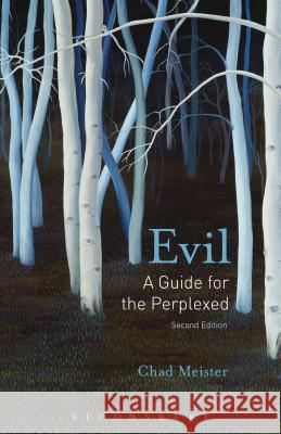 Evil: A Guide for the Perplexed Chad Meister 9781501324284 Bloomsbury Academic - książka