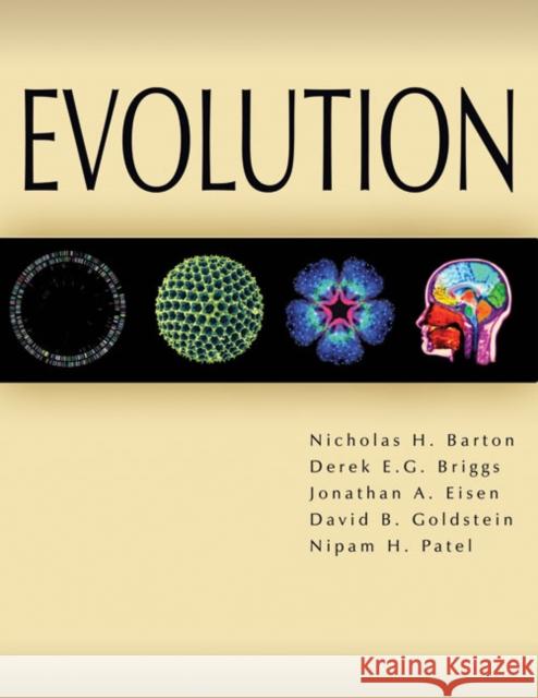 Evolution Nicholas Barton 9780879696849  - książka