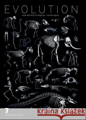 Evolution Jean-Baptiste D Patrick Gries Linda Asher 9781609803681 Seven Stories Press - książka