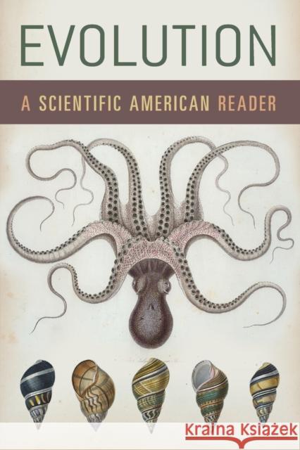 Evolution: A Scientific American Reader Scientific American 9780226742694 University of Chicago Press - książka