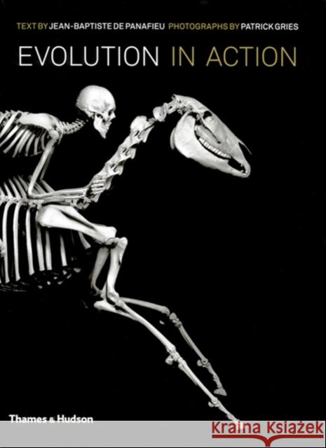 Evolution in Action: Natural History through Spectacular Skeletons  9780500515983 Thames & Hudson Ltd - książka