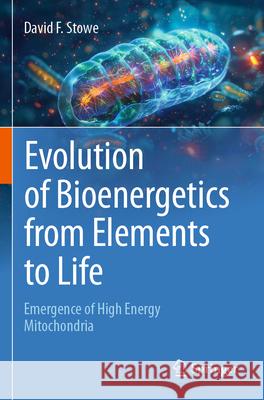 Evolution of Bioenergetics from Elements to Life Stowe, David F. 9783031766701 Springer - książka