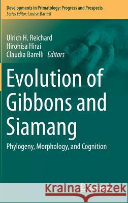 Evolution of Gibbons and Siamang: Phylogeny, Morphology, and Cognition Reichard, Ulrich H. 9781493956128 Springer - książka
