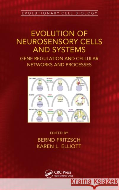 Evolution of Neurosensory Cells and Systems: Gene regulation and cellular networks and processes Fritzsch, Bernd 9780367552114 CRC Press - książka