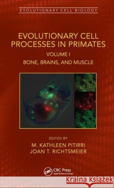 Evolutionary Cell Processes in Primates  9781032072715 Taylor & Francis Ltd - książka