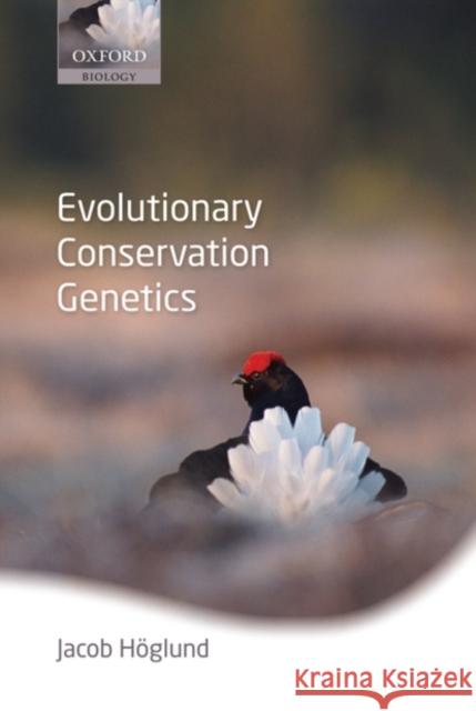 Evolutionary Conservation Genetics Jacob Hoglund 9780199214211 Oxford University Press, USA - książka