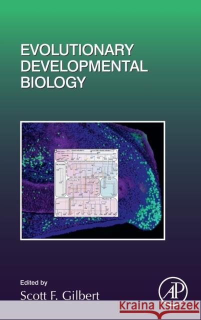 Evolutionary Developmental Biology: Volume 141 Gilbert, Scott 9780128149683 Academic Press - książka