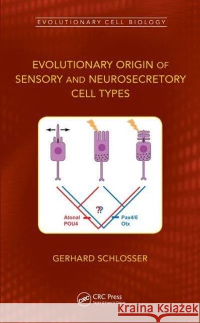 Evolutionary Origin of Sensory and Neurosecretory Cell Types: Vertebrate Cranial Placodes, volume 2 Gerhard Schlosser   9780367749804 CRC Press - książka